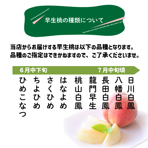 和歌山県産 早生桃 約1kg 5〜6玉 小玉 早生品種 はなよめ 白鳳系 和歌山 日川 小さめ