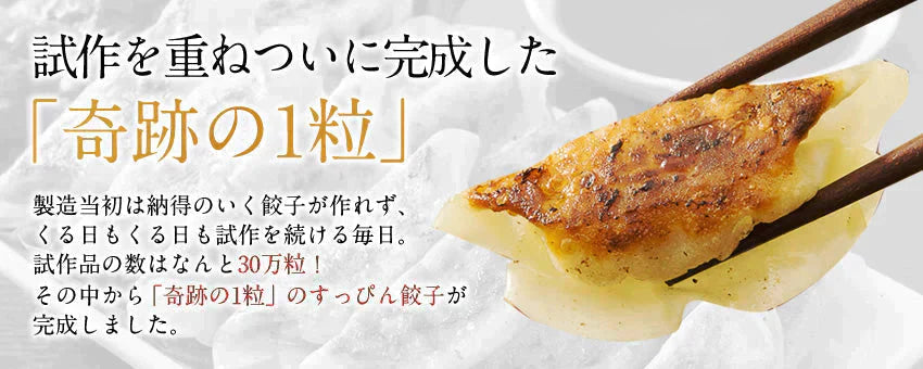 (納期2週間)奇跡の一粒すっぴん餃子100個 絶品タレ不要味付き