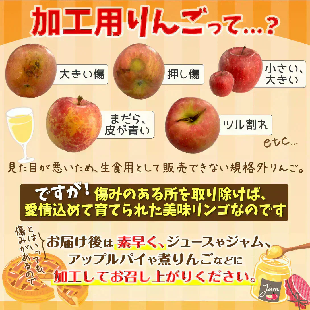 りんご 加工用 青森産 10kg