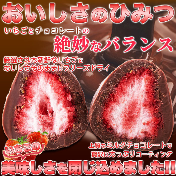 濃厚まるごと いちご の ミルクチョコ いちごチョコ どっさり16個(8個×2袋) 送料無料