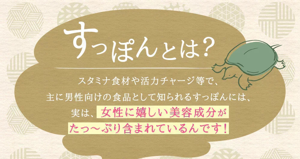 すっぽんもろみ酢《約1ヶ月分》健康 サプリメント サプリ すっぽん もろみ酢 コラーゲン ビタミンb リノール酸 オレイン酸 リノレン酸 クエン酸 サミノ酸 必須アミノ酸 大豆ペプチド ダイエット