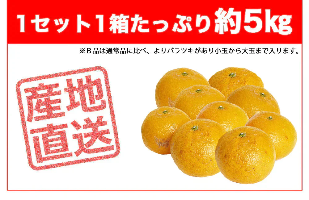 甘夏 訳あり 5kg みかん 蜜柑 ご家庭用 箱買い B品 サイズミックス あまなつ 柑橘 フルーツ 果物 産地直送 愛媛県産 YDF-014
