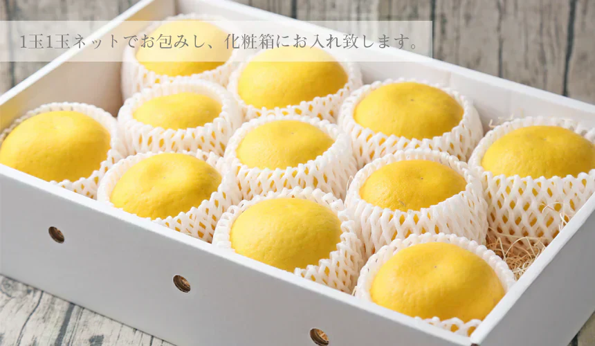 みかん 特撰宇和島ゴールド 2kg前後 特ゴ02 化粧箱入り 特撰包装 精品 河内晩柑 ゴールド 愛南ゴールド 美生柑 夏文旦 宇和ゴールド フレッシュつちやま 吉田みかん 愛媛 吉田 宇和島 青果 果物 ミカン 蜜柑 柑橘 フルーツ 送料無料 訳あり