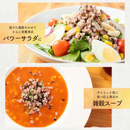 400g 完全国産 未来雑穀21+マンナン 送料無料