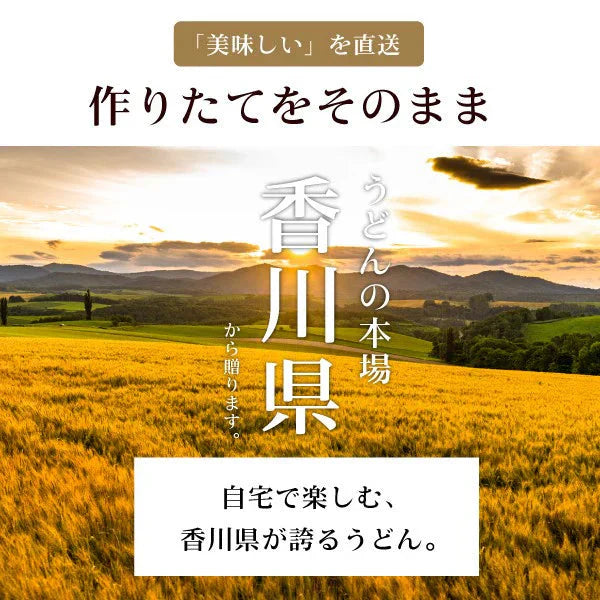 本場生讃岐うどん 専用醤油付セット 【平切り麺】 6人前 (300g×2袋) 送料無料 生うどん しょうゆうどん 簡単調理 鎌田醤油 人気 麺 讃岐 うどん 本場 純生 香川県 生麺 めんつゆ こだわり