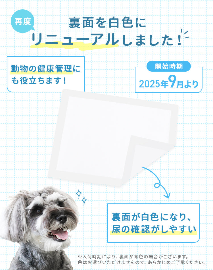 【レギュラーサイズ/800枚入り】超薄型 ペットシーツ ペットシーツ 多頭飼い 大容量 まとめ買い 業務用 ペット用 ペットシート トイレシート 犬 猫 トイレシーツ ペット用シーツ ペットシート おしっこシート おむつ替えシート 送料無料