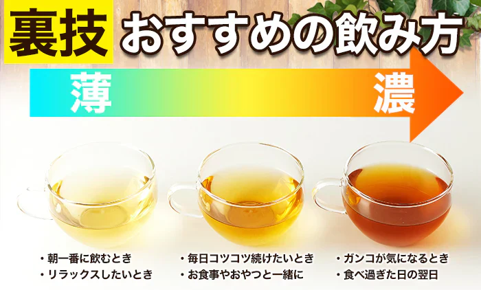 メガ盛り【コンブチャハーバルブレンドティー】海外セレブの間で人気沸騰 ダイエット メガ盛り100包 海外セレブに人気のコンブチャを飲みやすくハーブティーブレンド ルイ ボスティー ローズヒップ 紅茶 キノコ お茶 ハーバル コンブ茶 日本茶 茶 本物のコンブチャを使用 安心安全の国内加工の高品質 みやすい女性に人気ルイボスブレンド KOMBUCHA HERBAL BLEND TEA 健康茶 ダイエットティー ダイエット紅茶