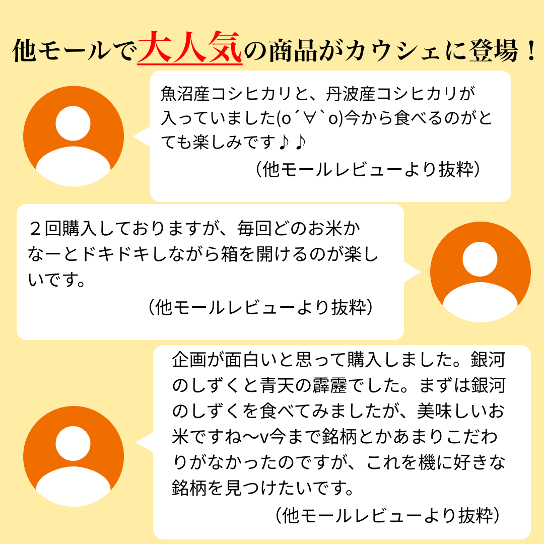 米 精米 10kg (5kg×2) 令和4年度産 米匠庵の指定銘柄 おまかせ2種類おみくじ米 福袋 食べ比べセット 詰め合わせ おくさま印 お米 白米 コシヒカリ 銀河のしずく 青天の霹靂 健康米 国産 食品 送料無料【福袋】