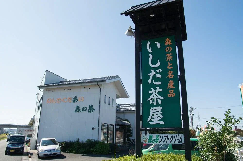 訳あり静岡茶100g×6 茎入茶葉 お茶 お茶の葉 日本茶 緑茶 一番茶 カテキン緑茶 深蒸し茶 お徳用 業務用【エコ得】