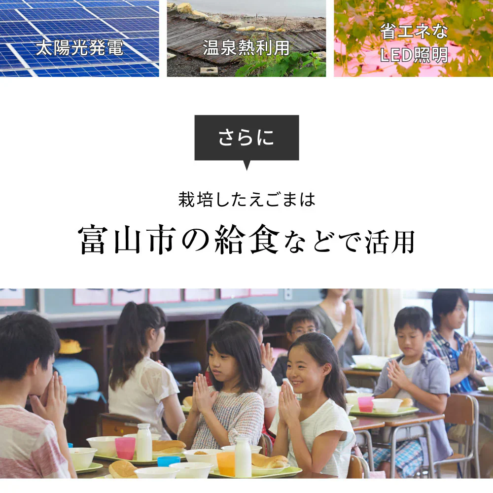 国産 えごま油 低温圧搾 一番搾り 110g 賞味期限:2025年5月6日 カウシェ限定 | オーガライフ