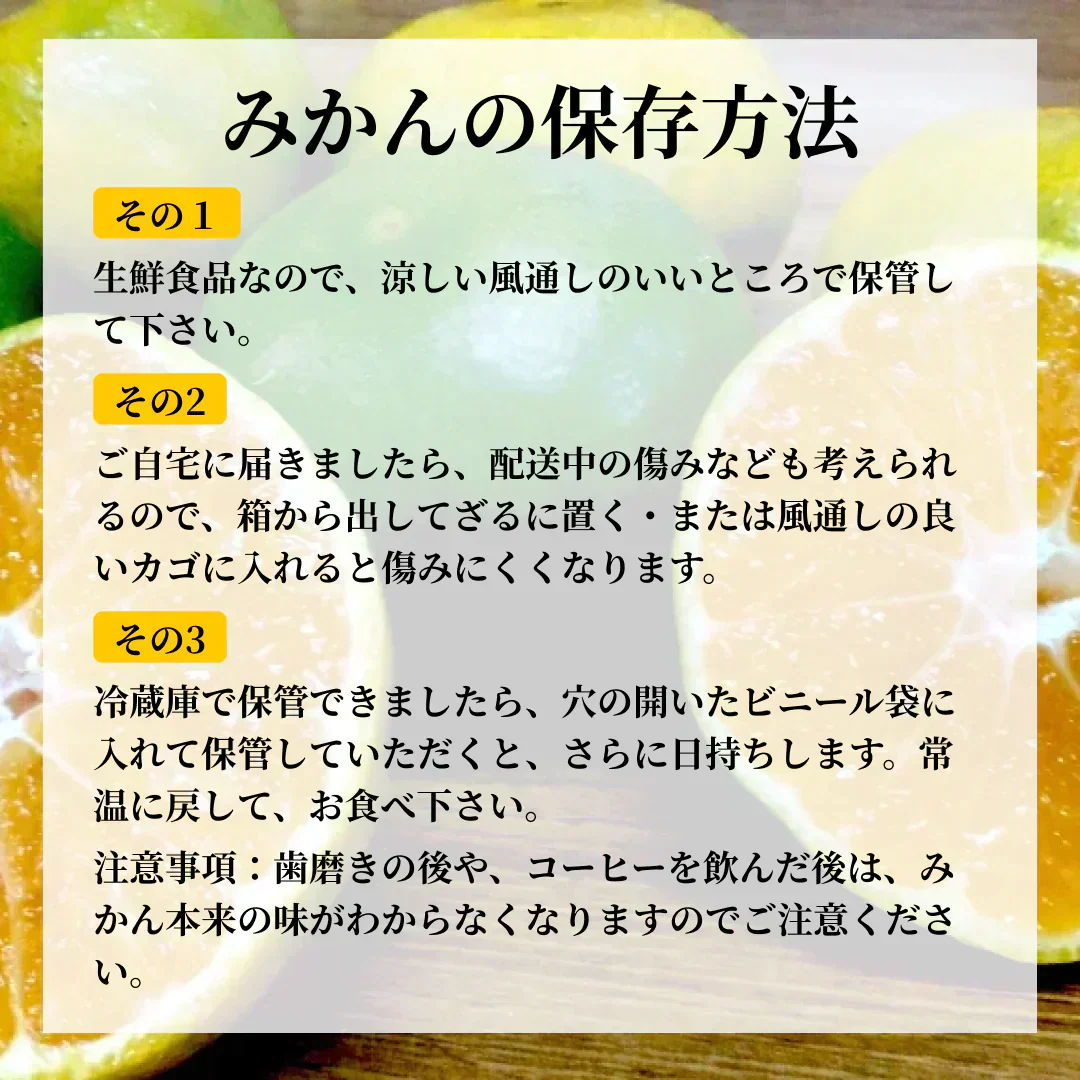 熊本産 みかん 訳あり 約10kg(箱込10kg 9kg+保証分500g)ご家庭用 送料無料