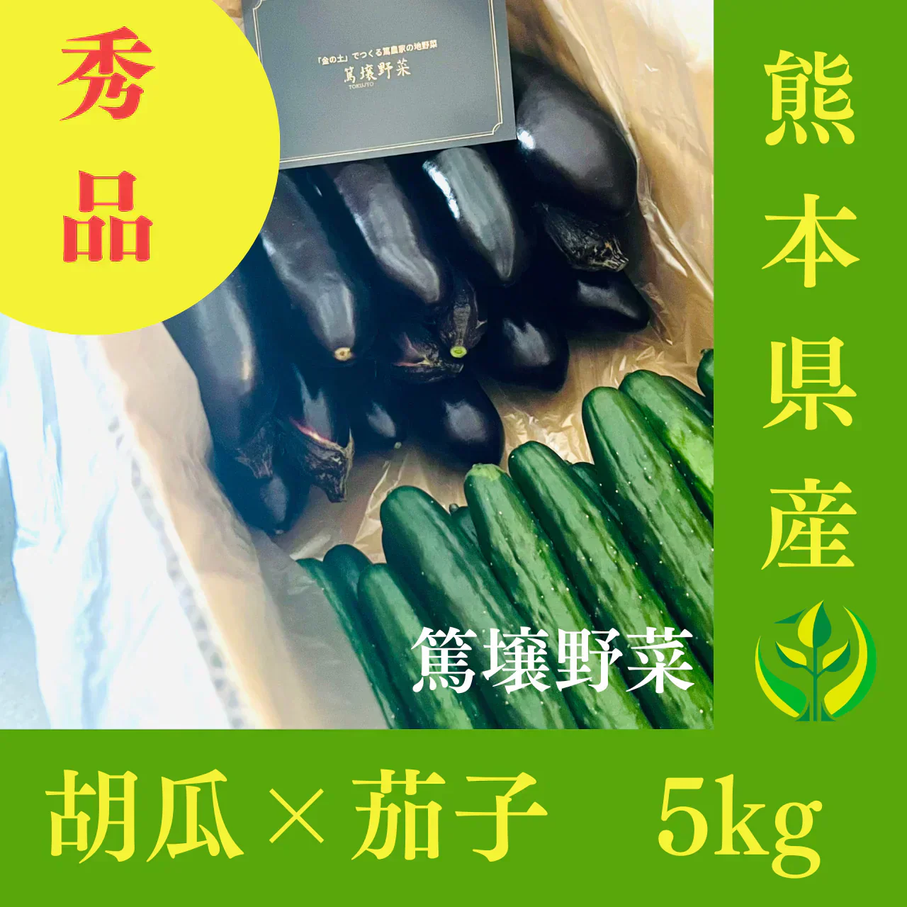 熊本県産 胡瓜と茄子セット 5kg
