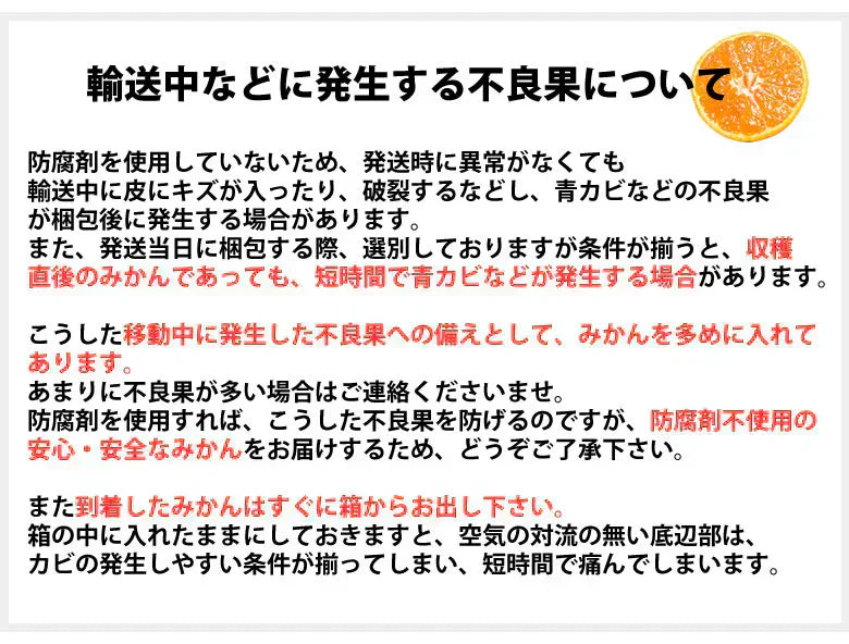 みかん 10kg 送料無料 訳あり 箱込(内容量9kg+補償分500g) 無選別 熊本みかん 極早生みかん 早生みかん 温州みかん蜜柑 ミカン