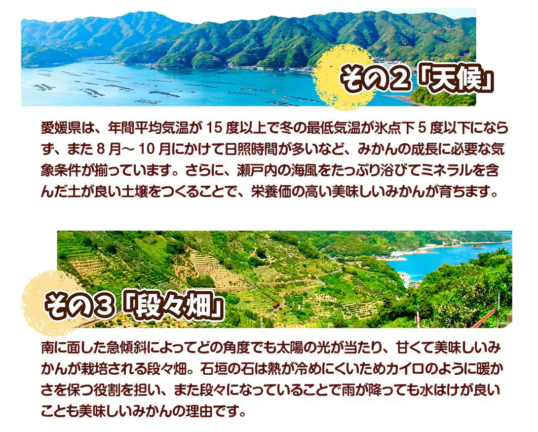 あいか 愛媛産 5kg ご家庭用 (発送予定:11月下旬より)
