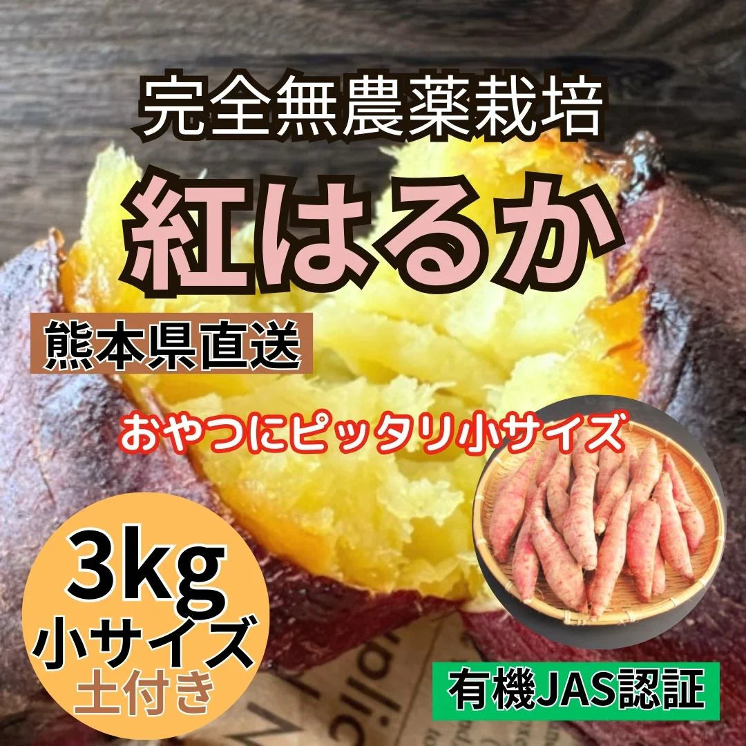 3kg 完全無農薬栽培【紅はるか】ベビーサイズ30g~90g 熊本直送(有機JAS認証 / 土付き)