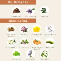 頭皮ケア ローション フケ かゆみ 乾燥 化粧水 150ml トニック 頭皮美容液 スカルプトナー スカルプケア 保湿ローション 頭皮用化粧水 美容液 スカルプ 植物由来 におい 日本製 ナチュレコ