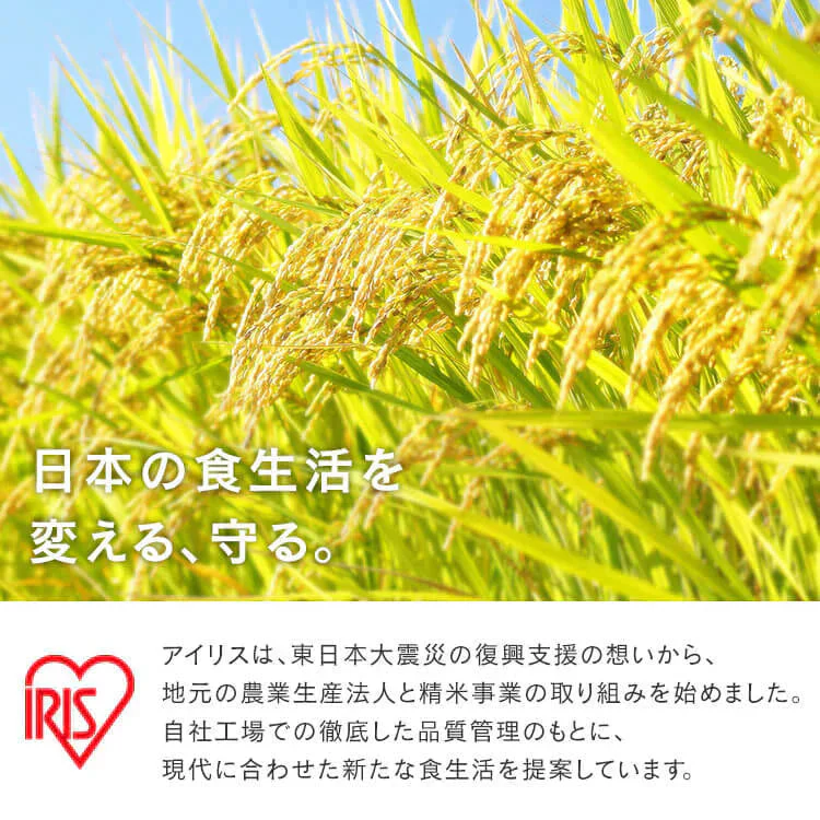【カートアップNG】低温製法米のおいしいごはん 青天の霹靂 150g×24パック