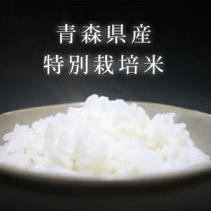 【玄米】無農薬&化学肥料不使用 特別栽培米 お米 あきたこまち5kg