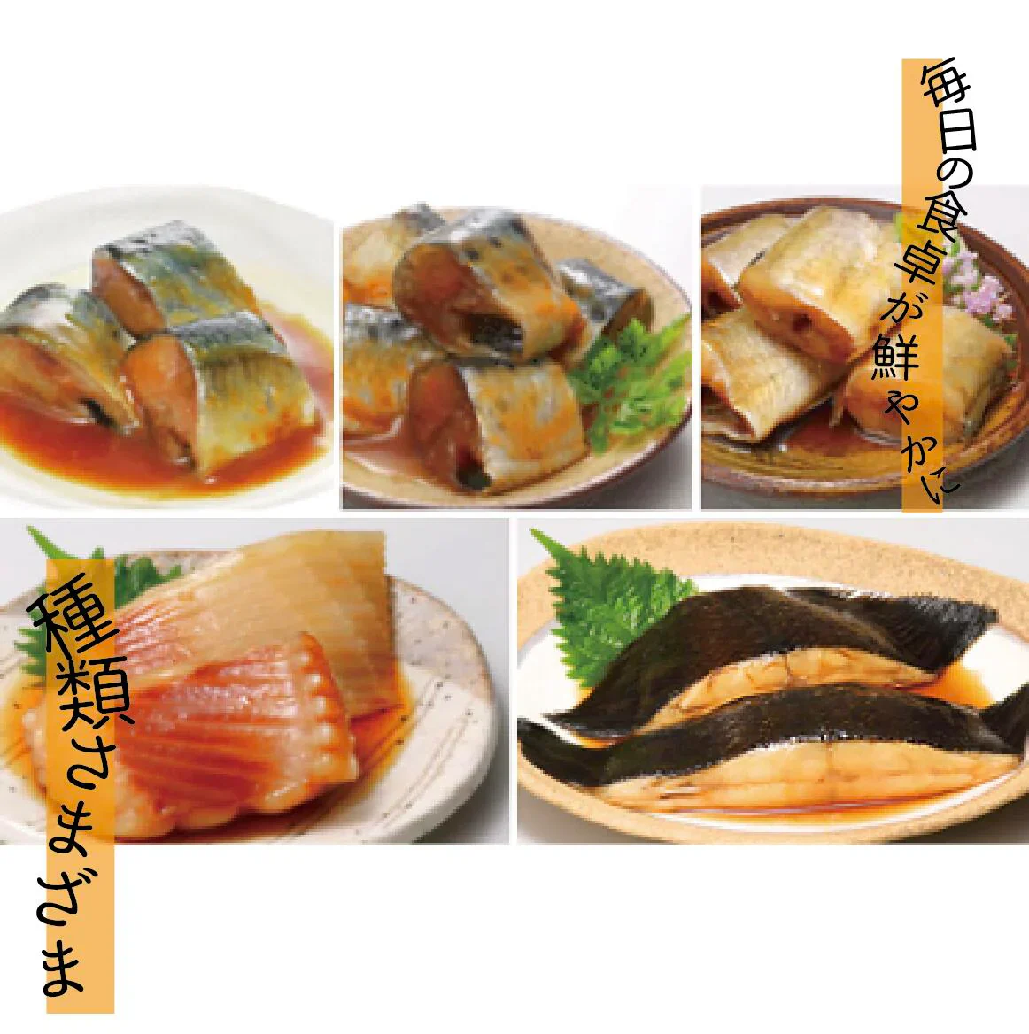 味付きほたて2種類 5個セット バター醤油煮/水煮 北海道 お土産 贈り物 ギフト おかず 惣菜 帆立 ホタテ 送料無料【防災グッズがお得】
