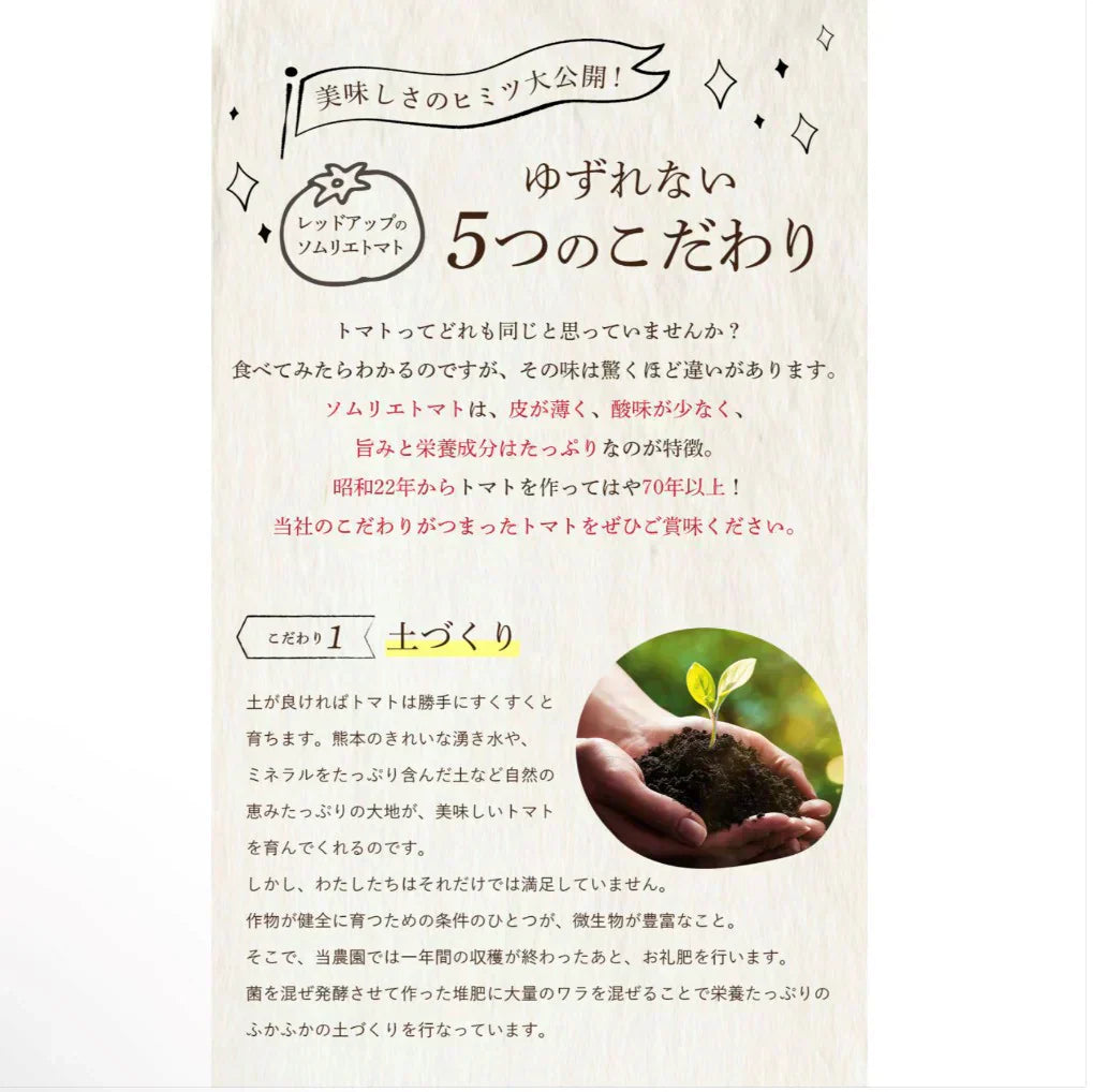 予約【1月前後から発送開始】お試し\特別栽培農産物/ソムリエミニトマト プラチナ 390g