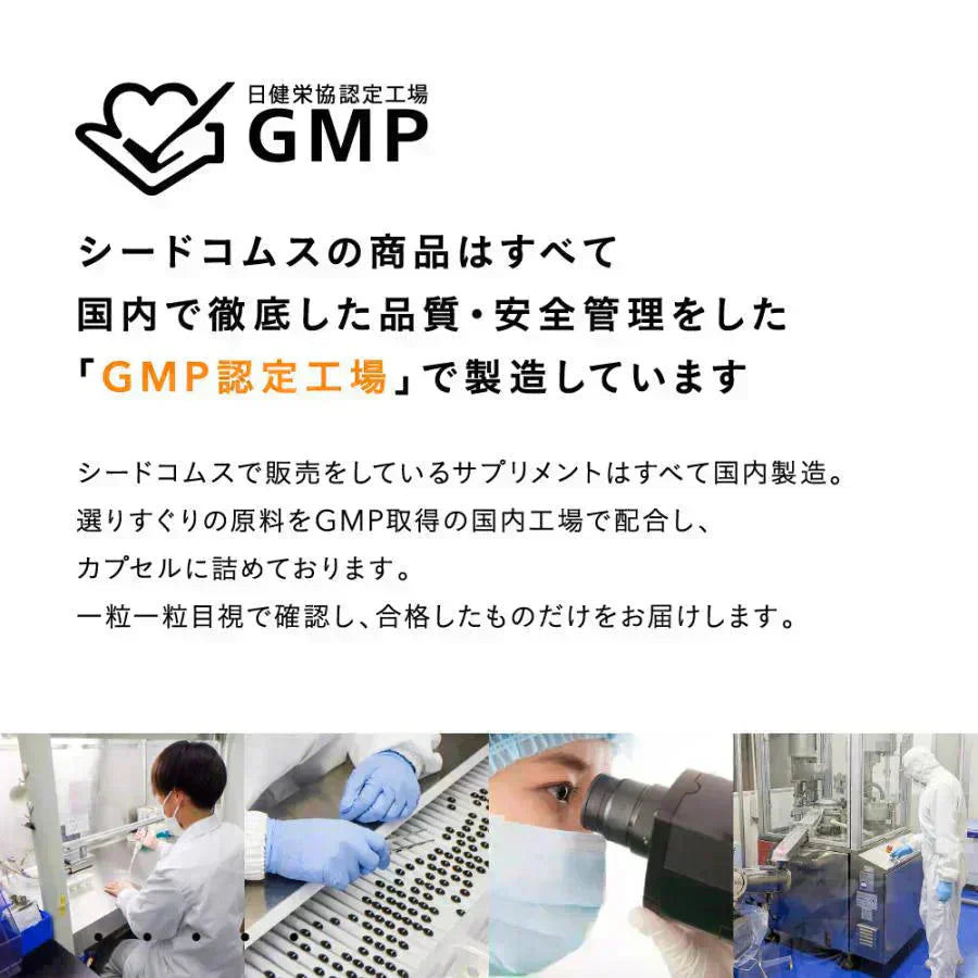 リポソーム型ビタミンC《約1ヶ月分》LiposomeC 1000 リポソーム ビタミンC 1袋あたり30,000mg サプリメント