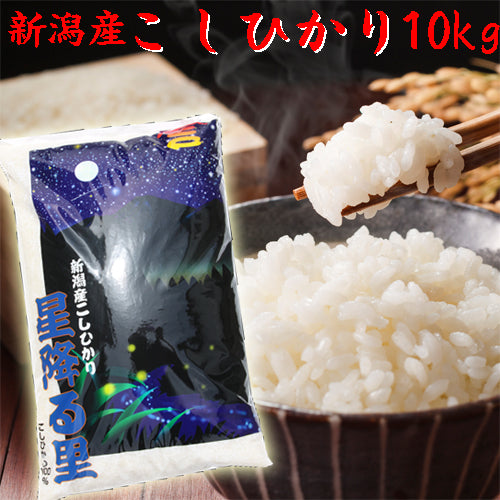 米 10kg 送料無料 新潟産 コシヒカリ 10kg 送料無料 プレゼント付き お米 10kg 白米 10kg 精米 白米 10キロ