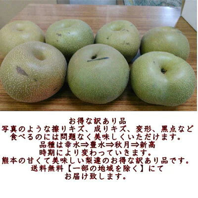 梨 訳あり(豊水・秋月・新高・愛宕など)約5kg(約5~24玉)送料無料【ゲリラセール】