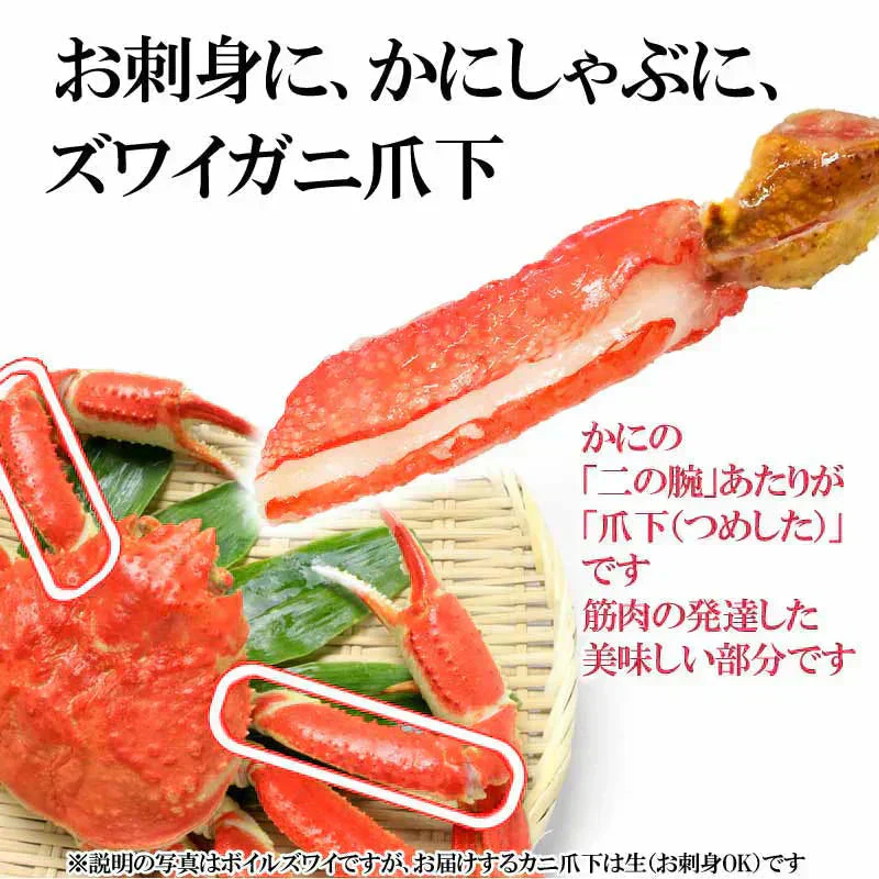 生 ズワイガ二 カニ爪下 ポーション 【生食OK】約1kg(正味400g×2袋)入(2袋で約24本〜36本前後入)アメリカ産又は、ロシア産 爪 ポーション 爪肉 蟹 セット 短いカニ足部分です。