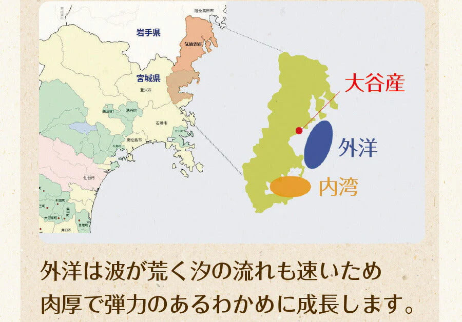 【2個セット】日本橋いなば園 三陸産カットわかめ 40g ネコポス メール便送料無料
