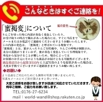 10月9日~発送!青森県産 りんご トキ 5kg箱 家庭用/訳あり ★トキ 家訳 5kg箱