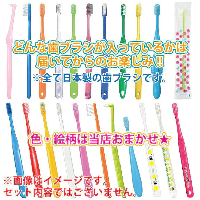 歯科専用の歯ブラシ アソート20本セット福袋 【おまけ付】≪歯ブラシは全て日本製のこだわり福袋≫※返品不可【福袋】【福袋の日】【メール便送料無料】