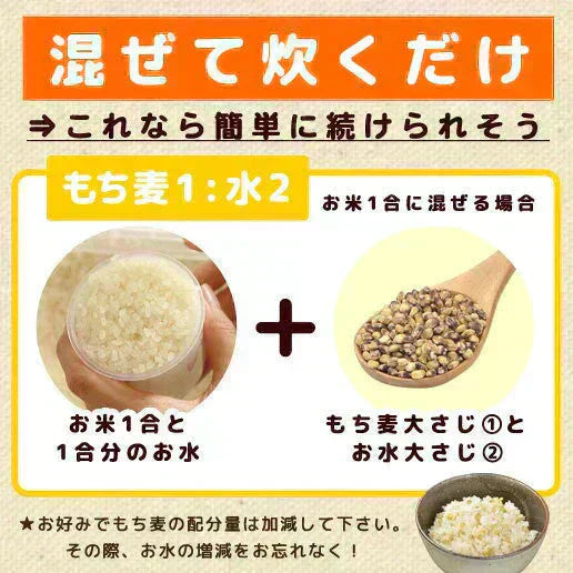 450g 国産もち麦 送料無料【カウシェファーム収穫対象商品】