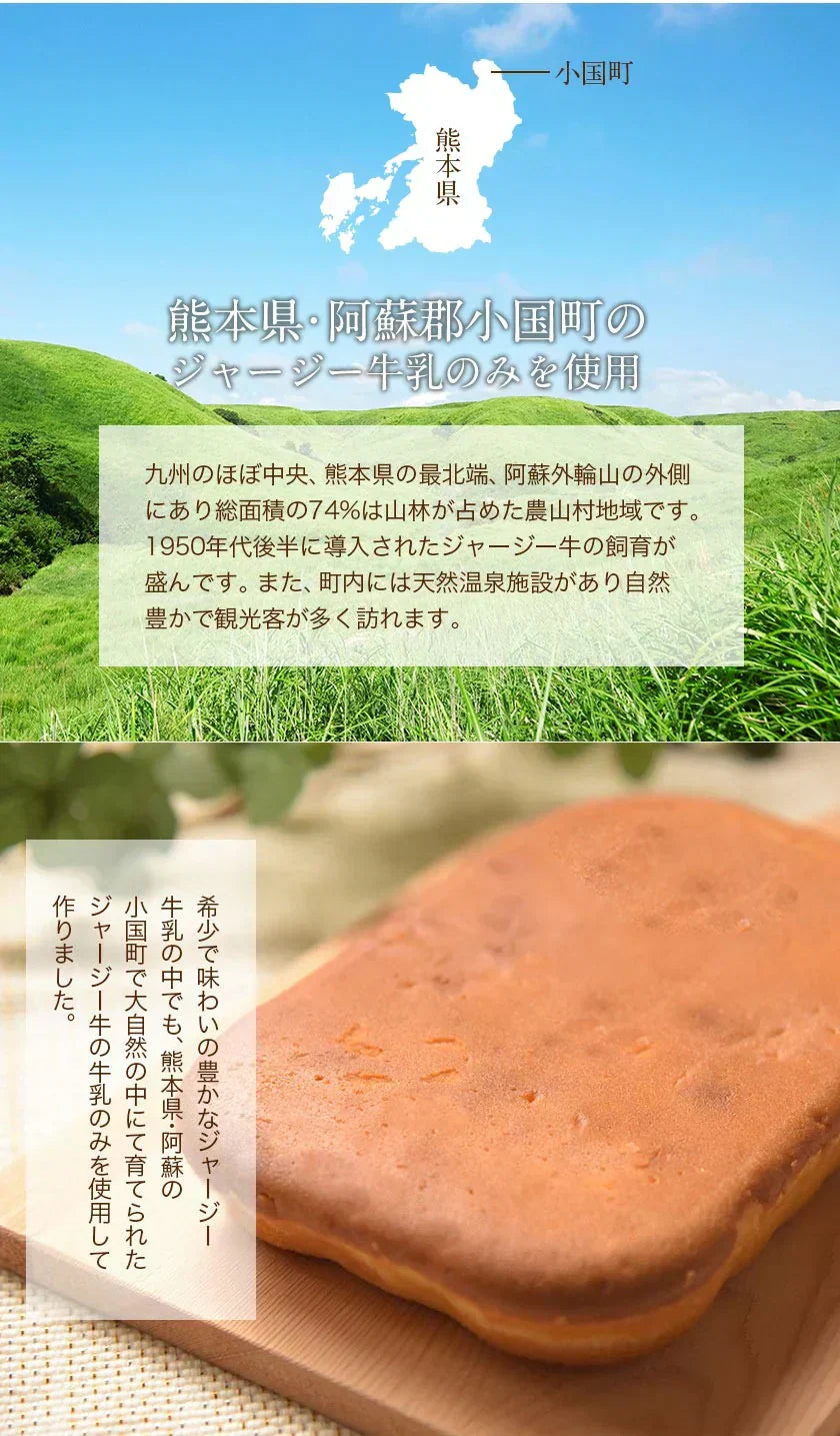 阿蘇 ジャージー チーズケーキ 希少 な ジャージー牛乳使用 スイーツ 1-5営業日以内に発送予定(土日祝除く)