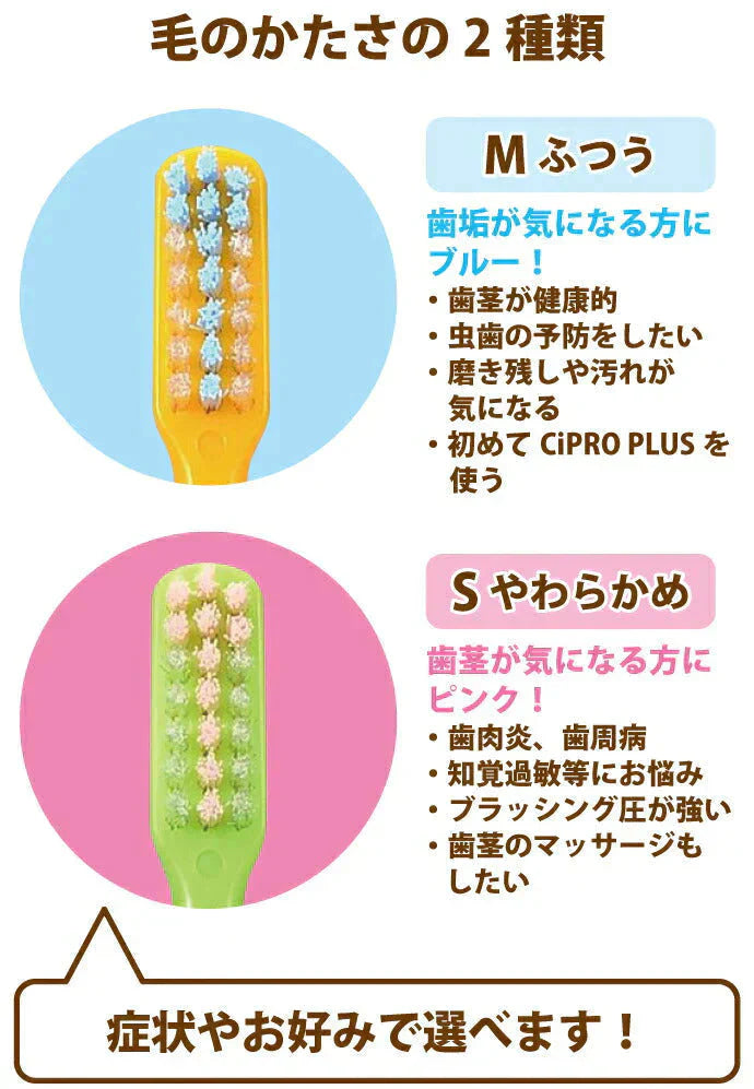 歯ブラシ Ci PRO PLUS(プロプラス) Sやわらかめ 20本入【Ciメディカル 歯ブラシ】【メール便送料無料】