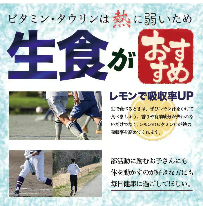 【生食OK】三陸産 殻付き 生牡蠣 3kg 今季初出し 希少 数量限定 新鮮 宮城 石巻 鉄分 ミネラル豊富 希少 貝 魚介類 かき 栄養 海の幸