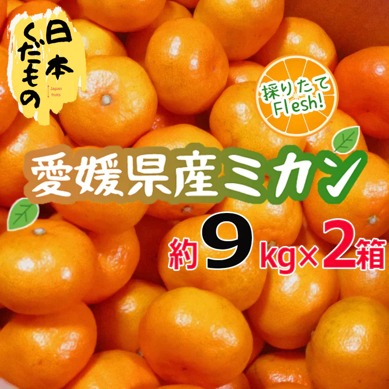 愛媛県産 みかん 9kg×2箱 訳あり家庭用 柑橘