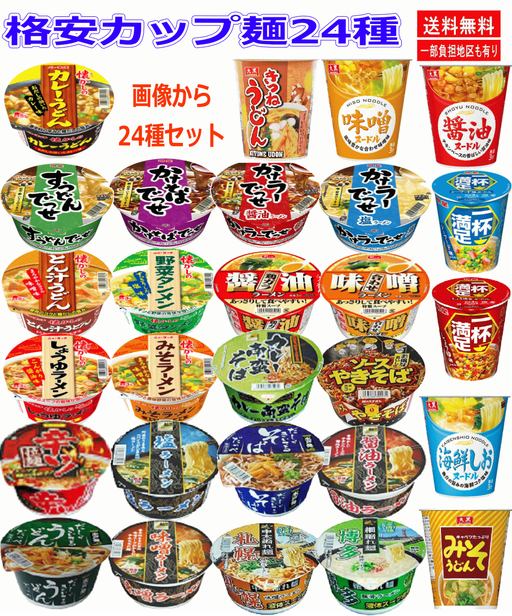 【コスパ満点完成版】明星食品 ヤマダイ 大国食品 スナオシ カップ麺 レギュラーサイズ 24種24食セット 関東圏送料無料