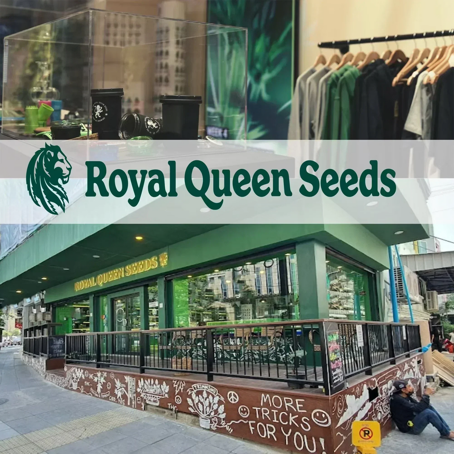 【正規品】ROYAL QUEEN SEEDS メタルトレイ&グラインダー セット 手巻きタバコ 喫煙具 おしゃれ メタルトレー インテリア 雑貨 アウトドア キャンプ用品