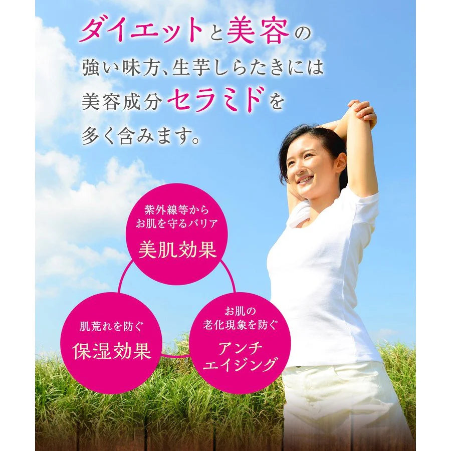 250g×5パック 生芋しらたき