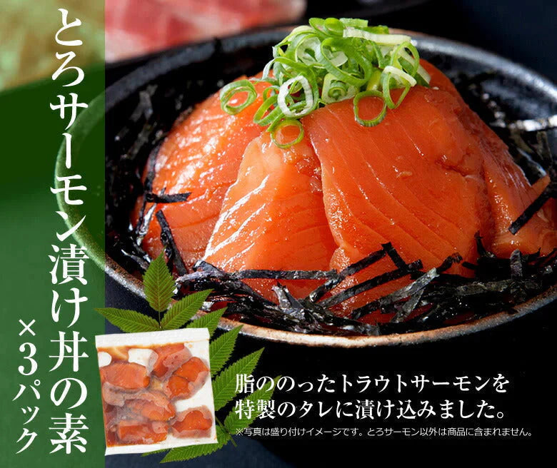 海鮮丼 15食 セット(マグロ漬け3p・ネギトロ3P+サーモンネギトロ3p+トロサーモン3p+イカサーモン3P)