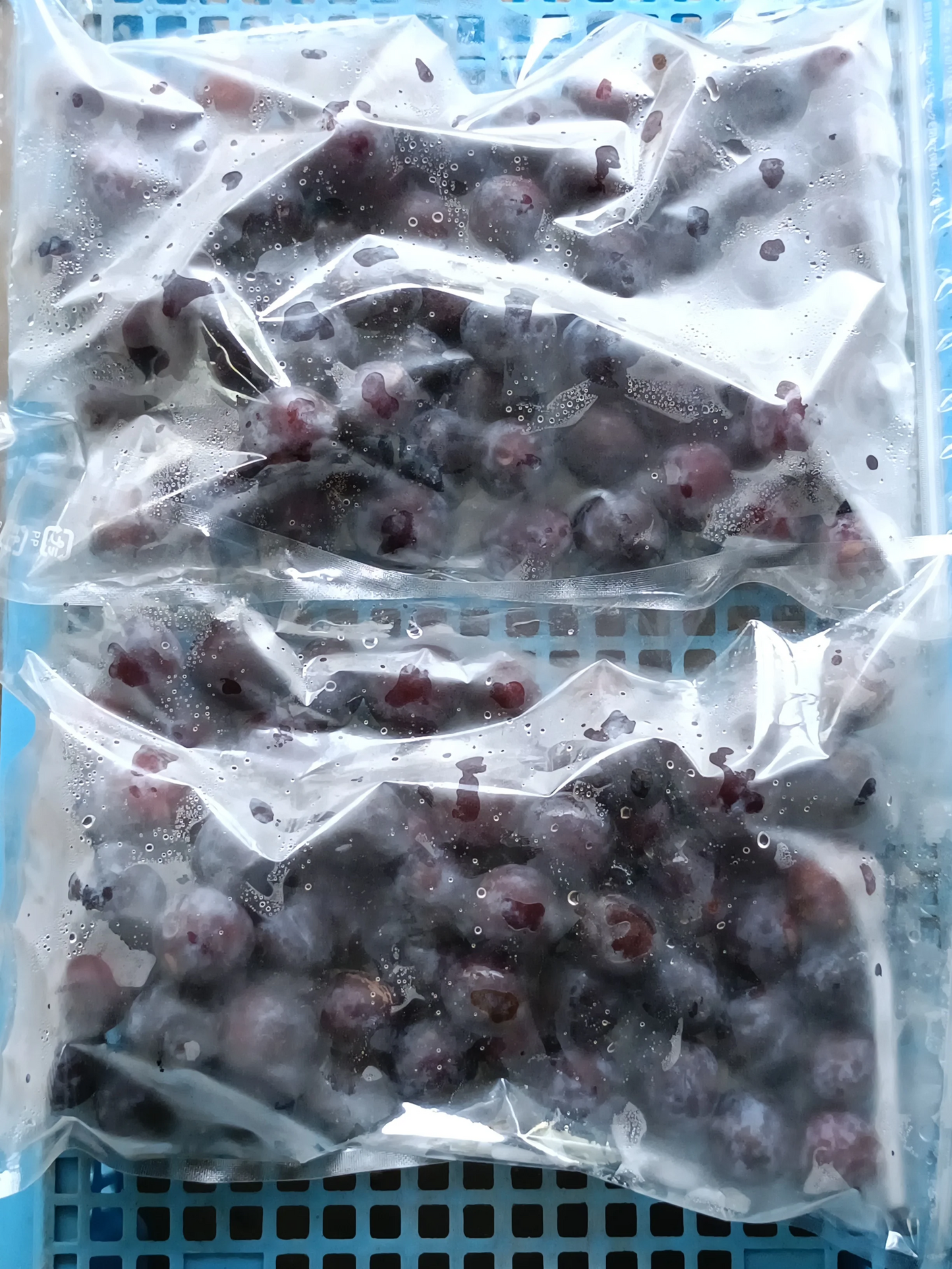プルーン リバーサイド 訳あり 900g×2袋 1.8kg 青森県産 冷凍便 送料無料 【6410】