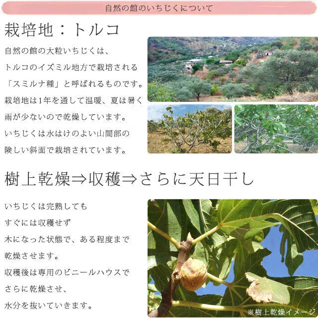 350g ドライいちじくお試し 砂糖不使用 送料無料
