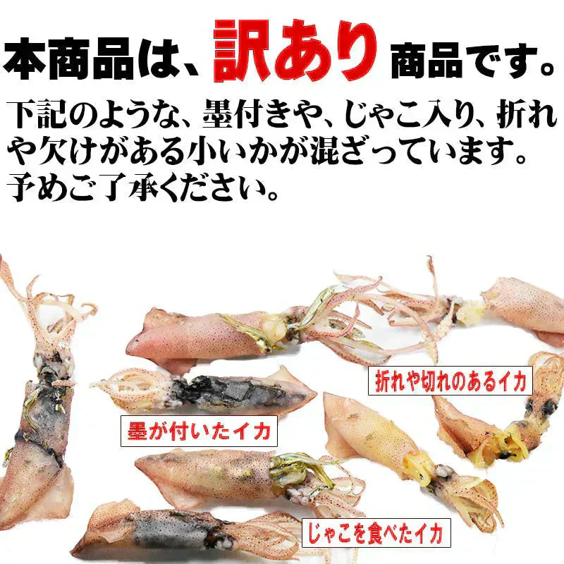 いか おつまみ 小いか 国産 訳あり 無添加 広島県産 珍味(煮干)大サイズ 150g 瀬戸内海 燧(ひうち)灘産 メール便限定 送料無料 海鮮