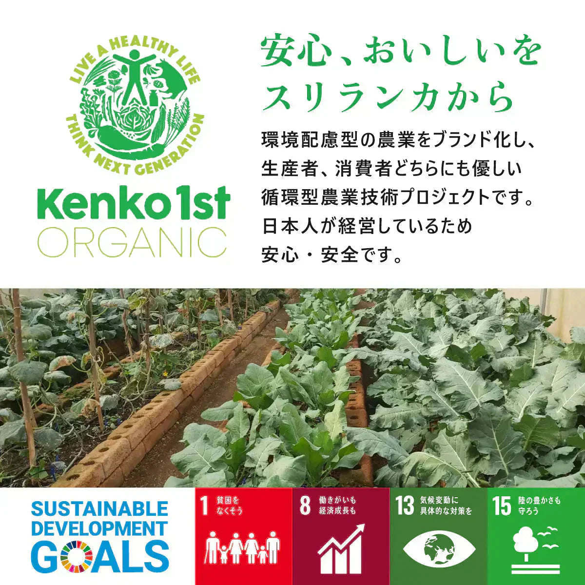 クローブ ホール オーガニック 無添加 ゴキブリ 対策 100g クローブゴキブリ チョウジ 丁子 スリランカ 有機JAS スパイスカレー セイロン スパイス 香辛料