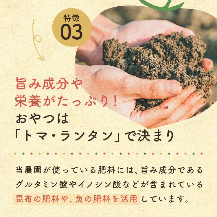 【予約】【2026年1月から順次発送】1kg 家族の笑顔が広がる完熟ミニトマト「トマランタン」【ご新規さん限定商品】