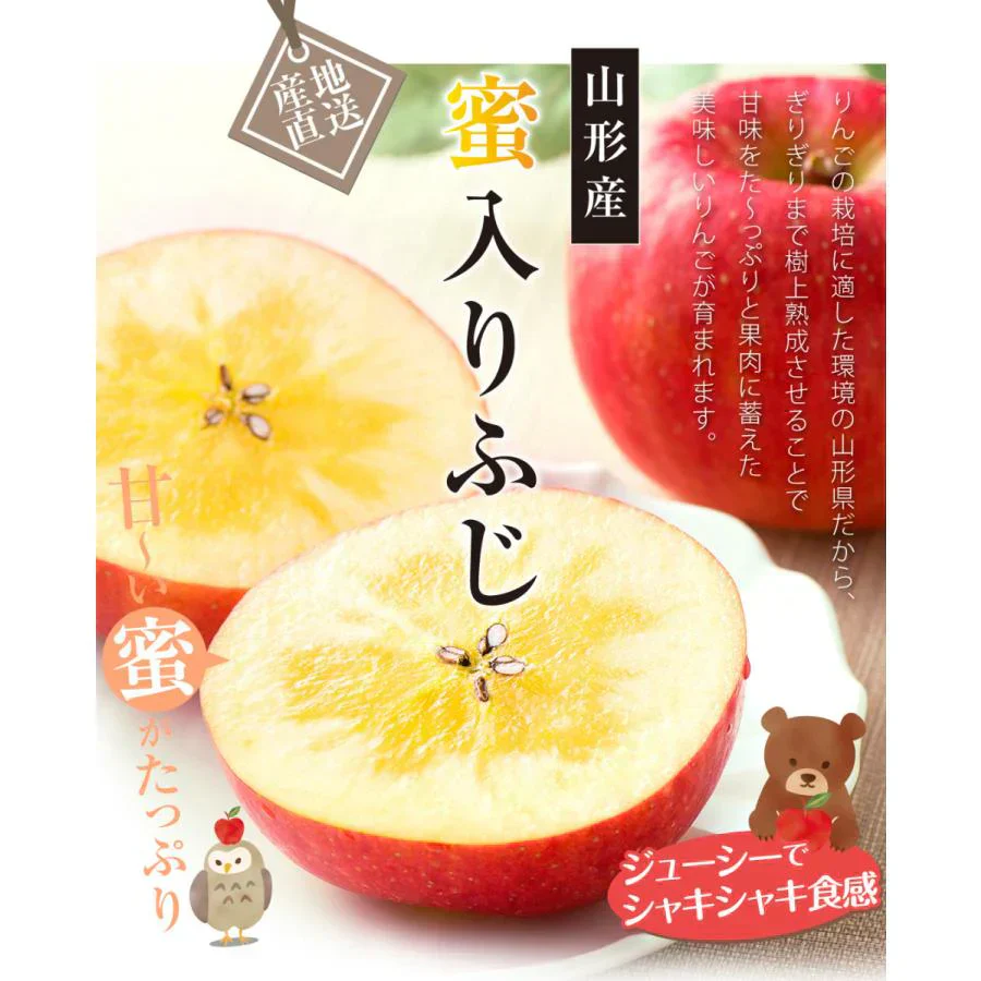 りんご 蜜入りサンふじ 山形産 5kg (発送予定:12月上旬より)