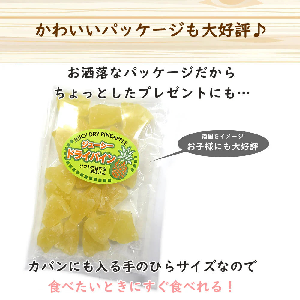 【100g】ドライパイン ドライフルーツ