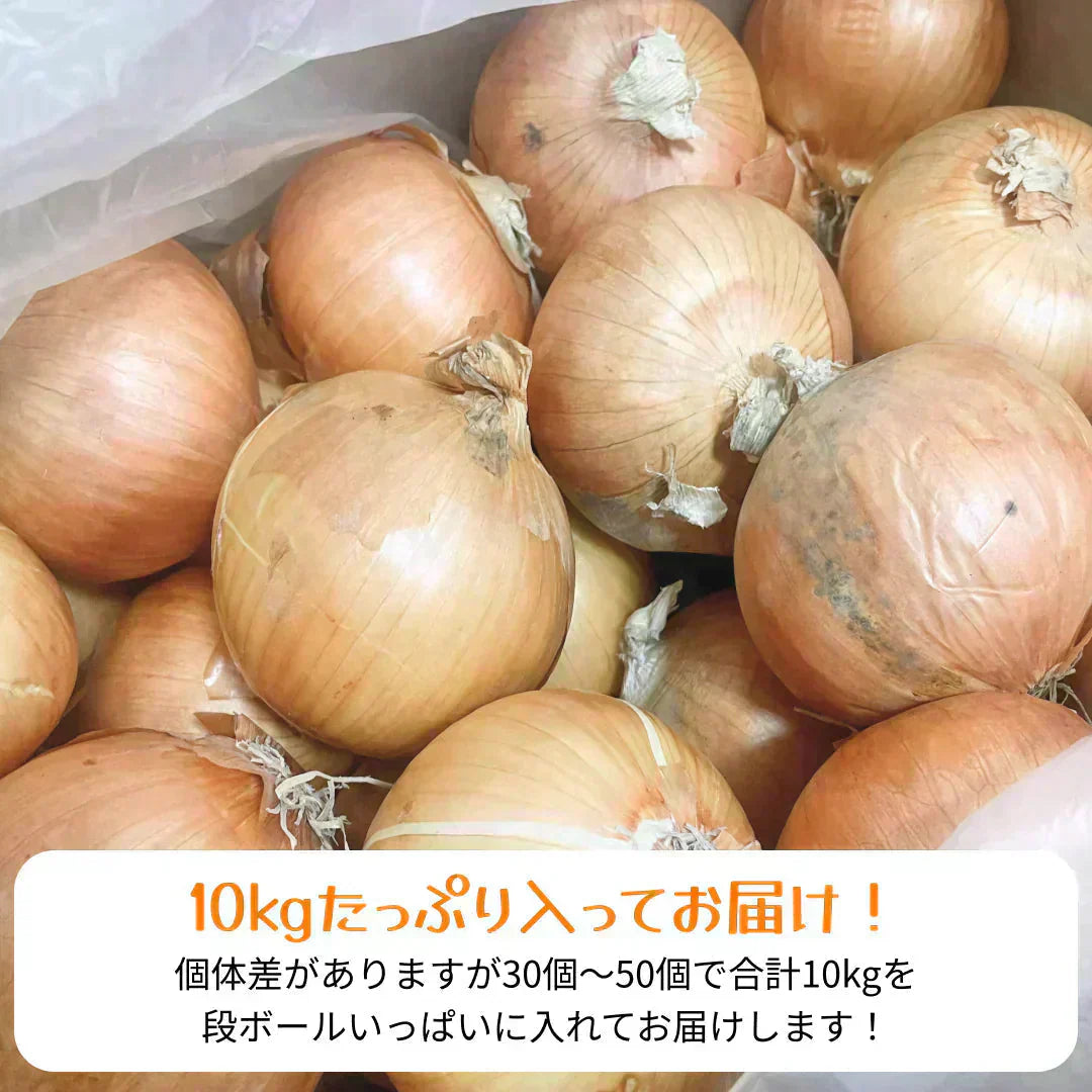 【有名ホテル / 大手チェーン店も御用達!】つやつやたまねぎ 10kg 野菜 根菜 玉葱 玉ねぎ タマネギ サラダ