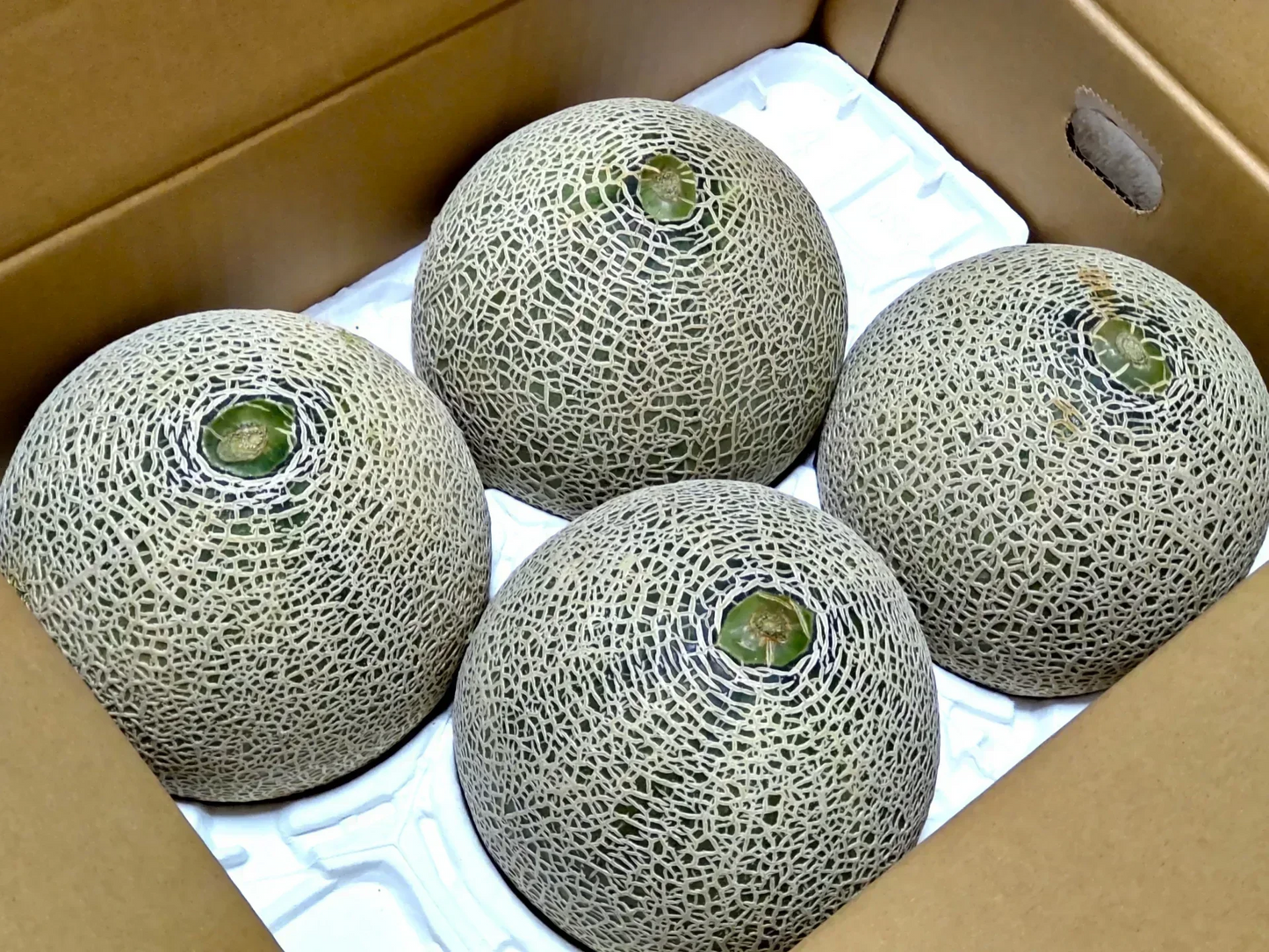 【数量限定】北海道富良野産 赤肉メロン 8kg (4~6玉入り)【訳あり・送料無料】