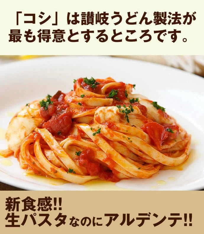 訳ありバージョン!【本場讃岐うどん製法】さぬき生パスタ(フェットチーネ)900g